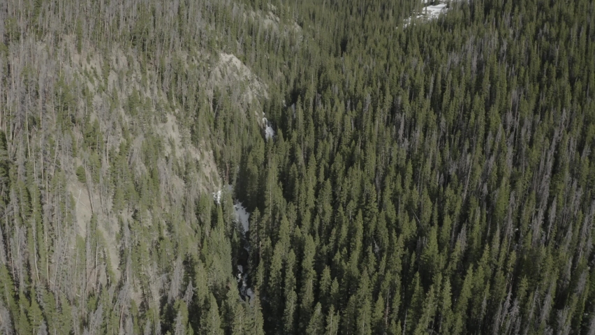 National Forest in the Colorado Rocky Mountains