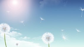 Dandelion Blowing in the Wind Abstract Animation Video