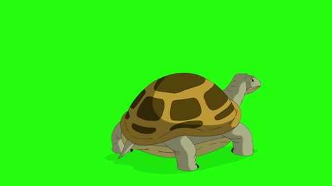 Swamp turtle goes out of frame. Handmade animated footage isolated on green screen. Back view.