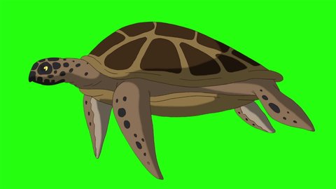 Big swamp turtle swims underwater. Handmade animated looped footage isolated on green screen