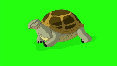 Big swamp turtle comes and goes. Handmade animated looped footage isolated on green screen