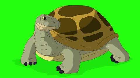 Big swamp turtle looks around. Handmade animated looped footage isolated on green screen