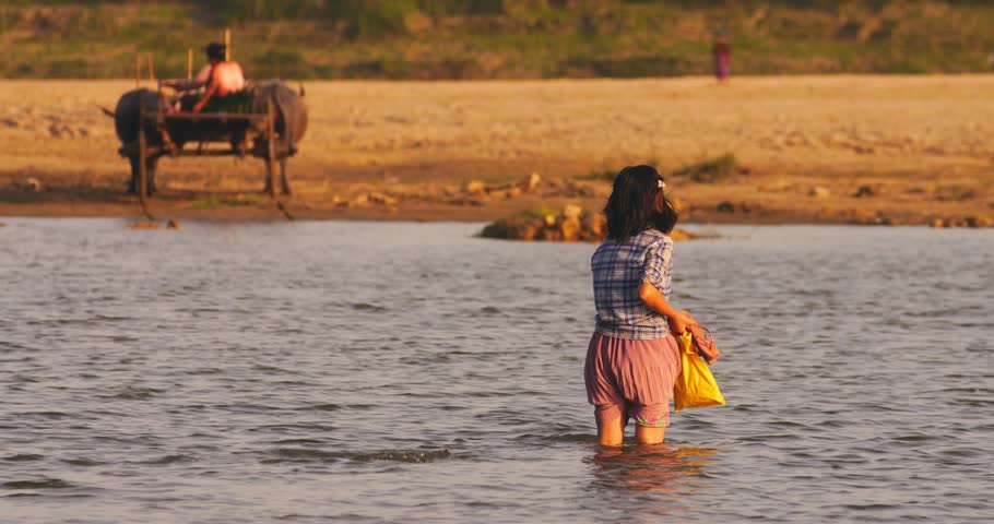 Scene of rural Myanmar at sunset. Burmese woman crossing Irrawaddy river in countryside while going to local village. Traditional bullock cart on background
