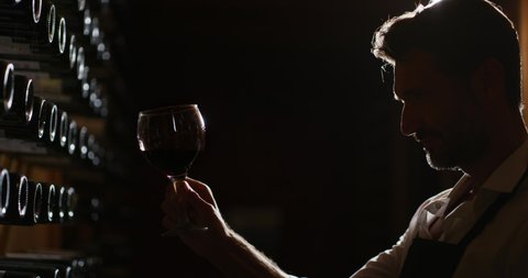Silhouette of successful male winemaker or sommelier is tasting a flavor and checking quality of a red wine poured in transparent glass  in a wine cellar.