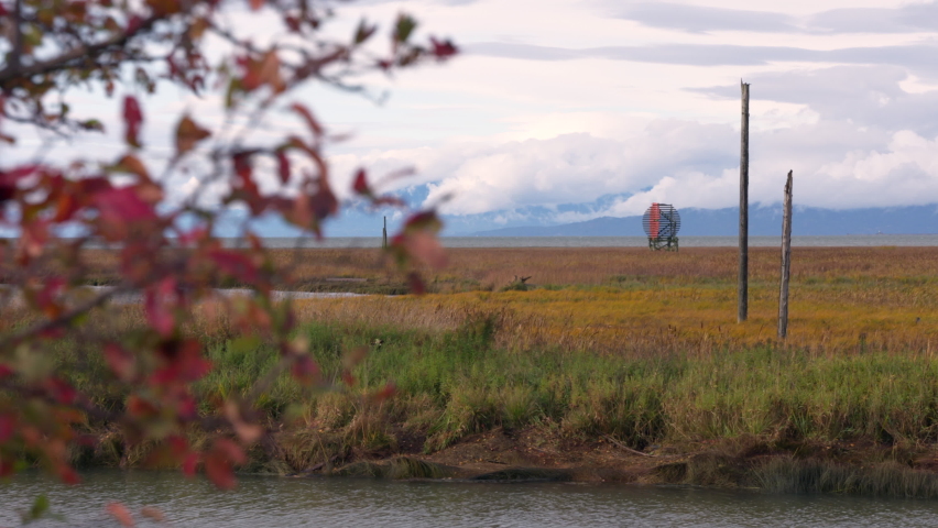 Sturgeon Banks Richmond BC 4K UHD. Autumn marshes off the West Dyke Trail in Richmond, British Columbia, Canada. 4K, UHD.
