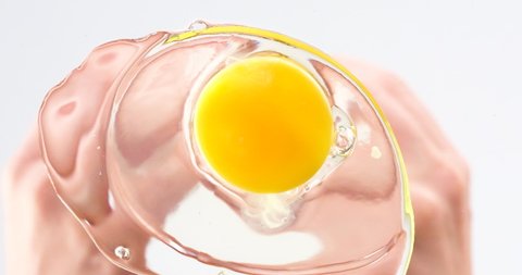 Breaking and spilling egg to glass.Female hands holding a cracked egg.Breaking an egg. Slow motion.
