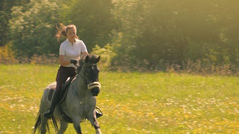 Beautiful young woman rider riding horse in beautiful summer day field meadow. Slow motion, 4K UHD