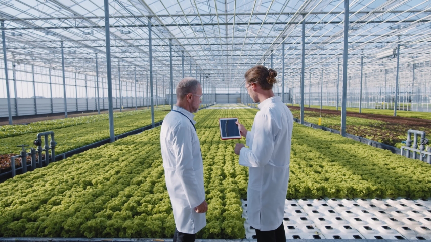 Futuristic engineering. Agriculture business. Two experts checking cultivation and irrigation system of greenery using innovative artificial intelligence techniques. Royalty-Free Stock Footage #1059547538
