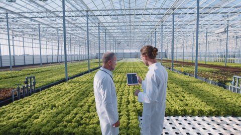 Futuristic engineering. Agriculture business. Two experts checking cultivation and irrigation system of greenery using innovative artificial intelligence techniques.