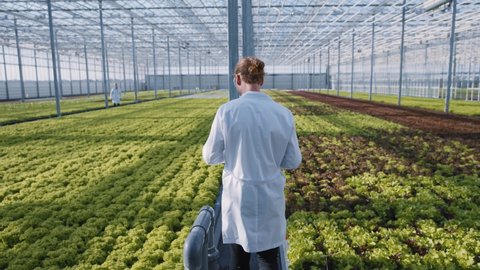 Agricultural developer in lab coat using wireless tablet exploring organic vegetable salads plantation cultivation crops in greenhouse farm. Agronomy concept.