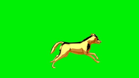 Golden wolf running seamless loop, Green Screen 