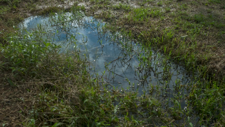 moving clouds relfection on small water pond