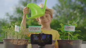 Little boy records a vlog about his small home garden on a balcony. Home farming concept. Vlogging kids