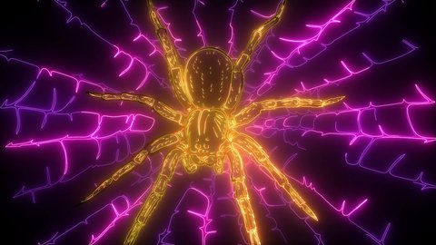 spider and torn web. digital neon video