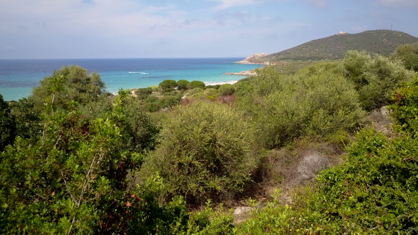 Aerial drone forward flight footage over the trees to the Ile Rousse beach in the Corse island, France. Royalty-Free Stock Footage #1059588392