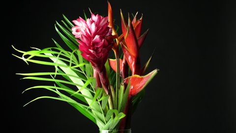 Beautiful bouquet of tropical exotic flowers. Close-up shot of Heliconia rostrata floral arrangement from rainforest or garden. Leaf background with Bird of paradise and Lobster Claw fern.