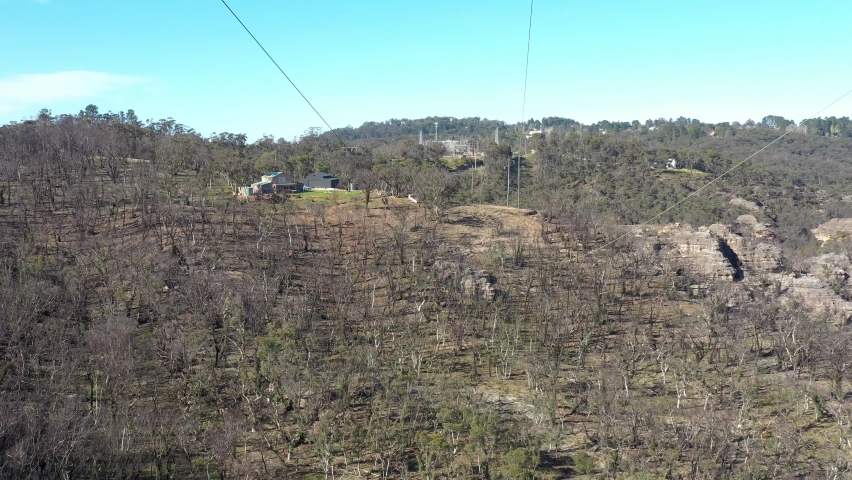 Aerial footage of forest regeneration after bushfires in The Blue Mountains in regional New South Wales in Australia