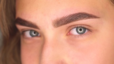 Professional styling, correction, and lamination procedures of girl eyebrows in a beauty salon. Closeup view of client's face and dyed brows. Focus at eyebrow.
