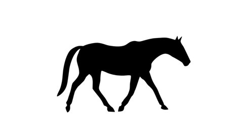 Silhouette of the trotting horse, animation on the white background
