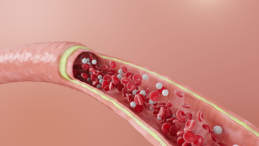 Red blood cells flow inside an artery, vein. Healthy arterial cross-section blood flow. Scientific and medical microbiological concept. Enrichment with oxygen and important nutrients, 3d Animation