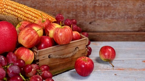 Fall harvest cornucopia agriculture. Organic fruits in Autumn season. Thanksgiving day.