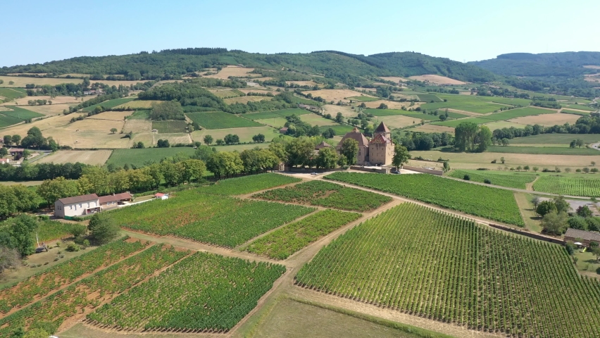 Vineyards and Pierreclos castle in French Mâconnais countryside, near Mâcon, drone aerial view | Shutterstock HD Video #1059675980
