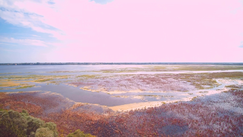 Water lagoon in central Poland.