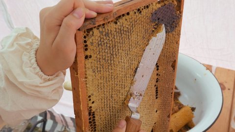 Female beekeeper Unseal Honeycomb. A close-up knife opens honeycomb with honey on frame made of beehive.