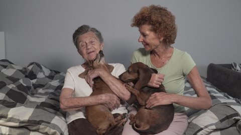 Senior woman and mature daughter stroking two dachshund dogs at home in bedroom while sitting on bed. Old grandmother with family petting pets. Therapy dog at home. Emotional support animal concept.