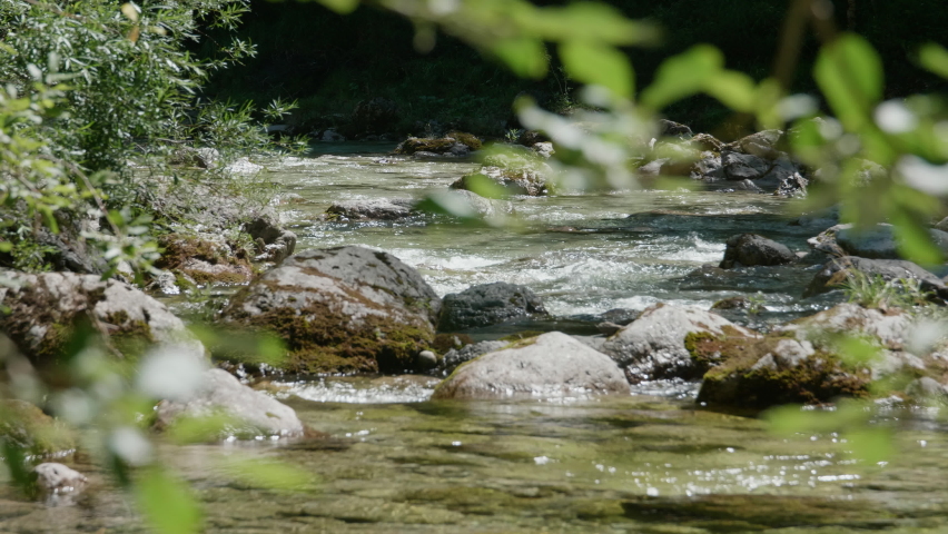 Steady shot of a mountain creek with crystal clear mountain water, sunlight reflecting in the water, foreground with a green branch of a deciduous tree out of focus, with the sound of rushing water