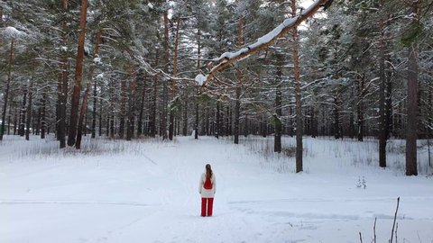 The girl is overwhelmed with feelings of delight from the beauty of the winter forest. : vidéo de stock