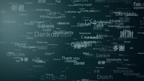 "Thank you" in Various languages. 
Typography.
loop. - Powered by Shutterstock - Get 15% off with code: PIKWIZARD15