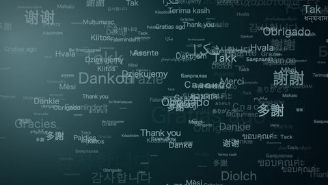 "Thank you" in Various languages. 
Typography.
loop.