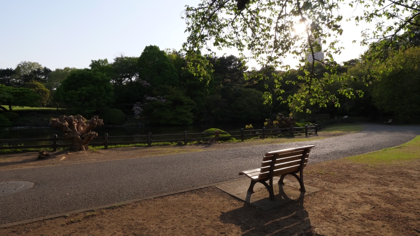 Empty bench near park road with pond view. Bright evening sun light shine and flick through sparse leaves on branch hanging over wooden seat. Big and quiet green park at Tokyo city Royalty-Free Stock Footage #1059721904