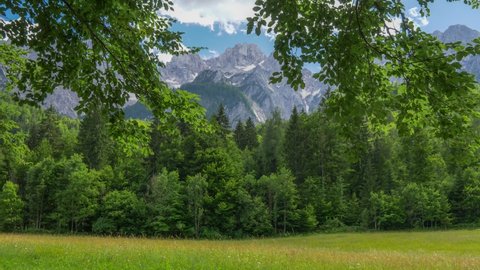 High quality HDR shot of Alps mountains with forest and rocks. Green meadow and evergreen forest before Julian Alps mountains that reach blue cloudy sky, Slovenia. Steadicam shot, 4K
