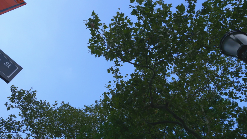 State and Bridge Sign In New York City in 4K Slow motion 60fps
