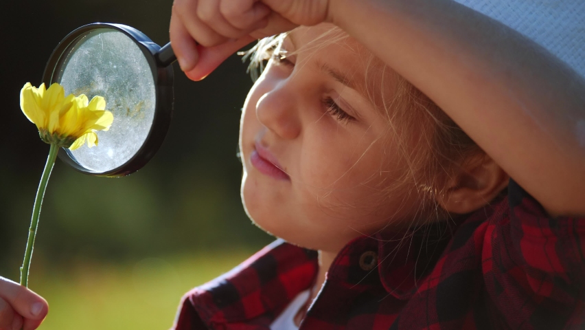 Kid tourist examines flower with a magnifying glass in the park. travel tourism adventure concept. little kid boyscout girl with backpack studies nature plant looks through dream a magnifying glass | Shutterstock HD Video #1059724973