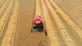 Closer areal footage of red combain harvesting wheat and leaving dust behind. Agricultural theme.