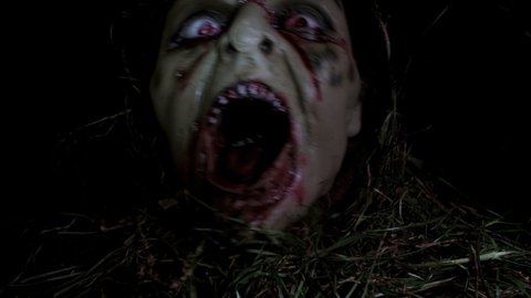 Horror scene.A bloody zombie comes out of the ground.
Halloween party.: film stockowy