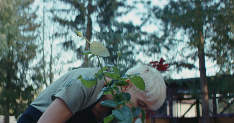 Senior mature Caucasian female taking care of her plants in the backyard. Retirement concept. Shot on RED Cinema camera with 2x Anamorphic lens