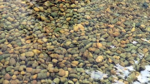 Close up of Crystal clear water surface ripple & wave on golden pebble rock stone beach background in tropical summer or spring sunlight & sun ray at sunny daylight sunshine day, cinemagraphs B-roll 