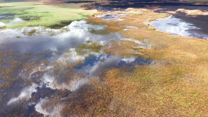 White clouds in blue sky reflected in the waters of a marsh wetland and patches of green and yellow grass in autumn. Aerial view of a colorful marshland.