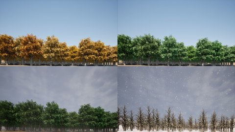 Four seasons landscape Nature concept 4k
