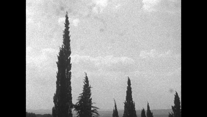 16mm footage of buildings and nature in black and white