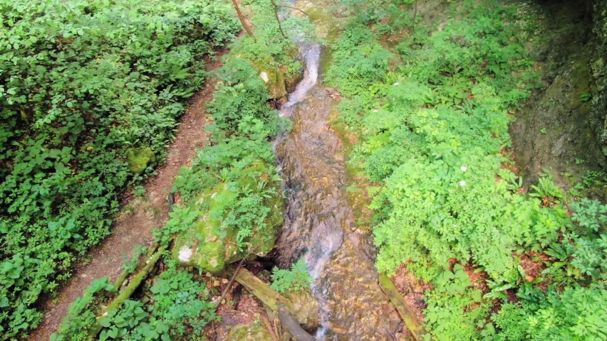Aerial drone view looking water stream running through the forest.
