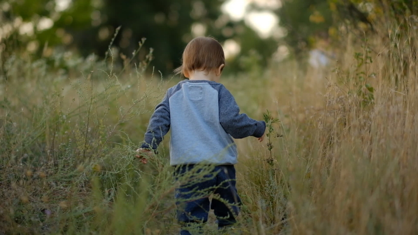 Autumn journey with the baby. A little boy walks away along a path in a meadow in autumn.