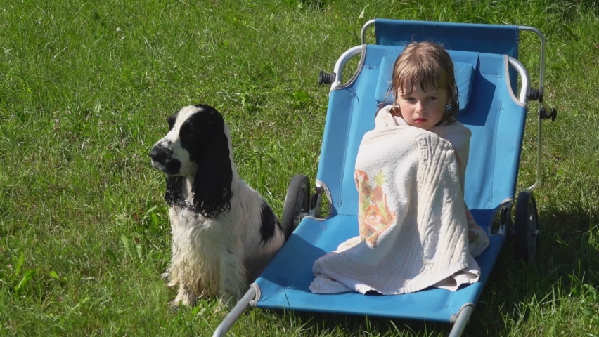 A little girl in a wet swimsuit is sitting in the beach chair wrapped in a towel blanket next to the English spaniel