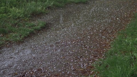 Hail ice falling from the sky on footpath and green grass in the forest. Beautiful weather backdrop. 4K UHD footage