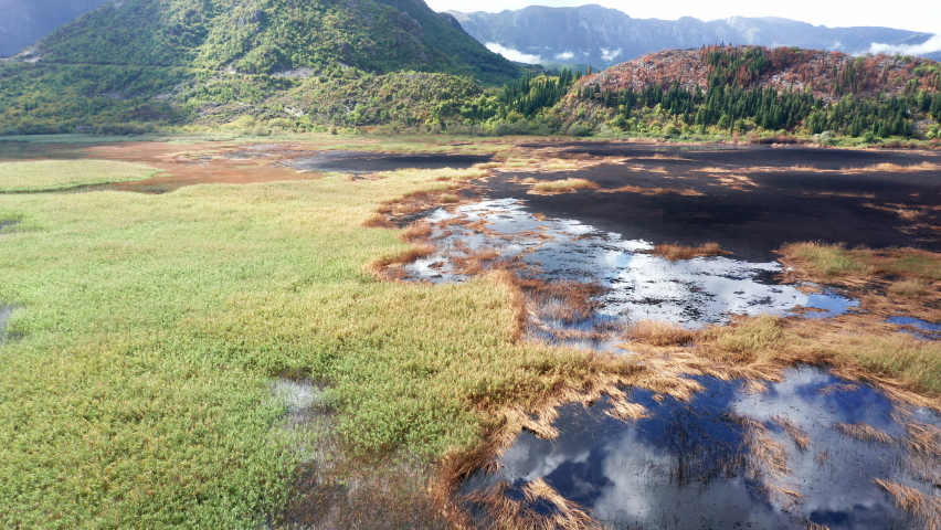 White clouds in blue sky reflected in the waters of a marsh wetland and patches of green and yellow grass in autumn. Aerial view of a colorful marshland.