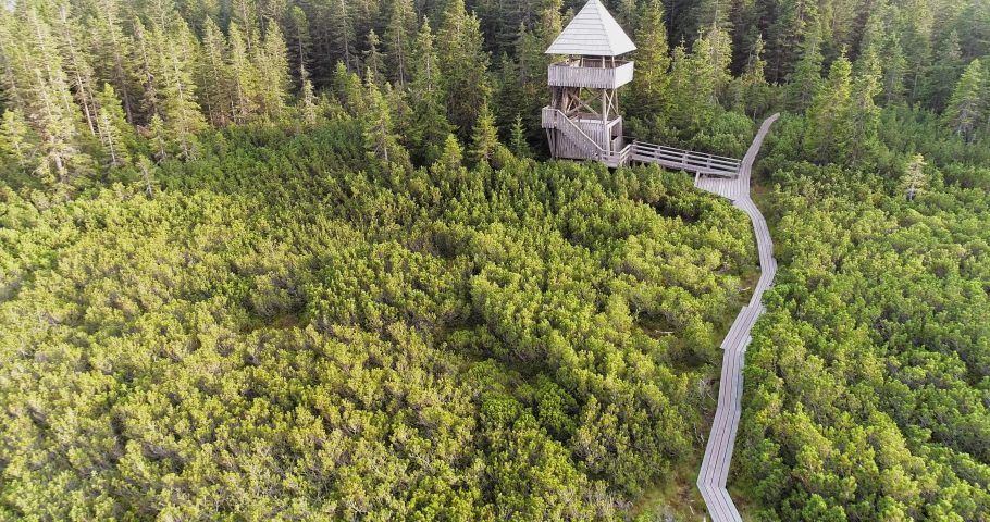wooden panoramic tower on a pine tree forest. Lovrenska Lakes